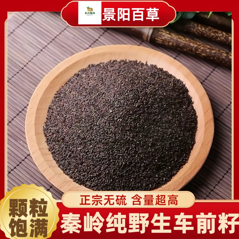 车前籽 秦岭野生车前子干净车前籽正品保障搭配山药干山药