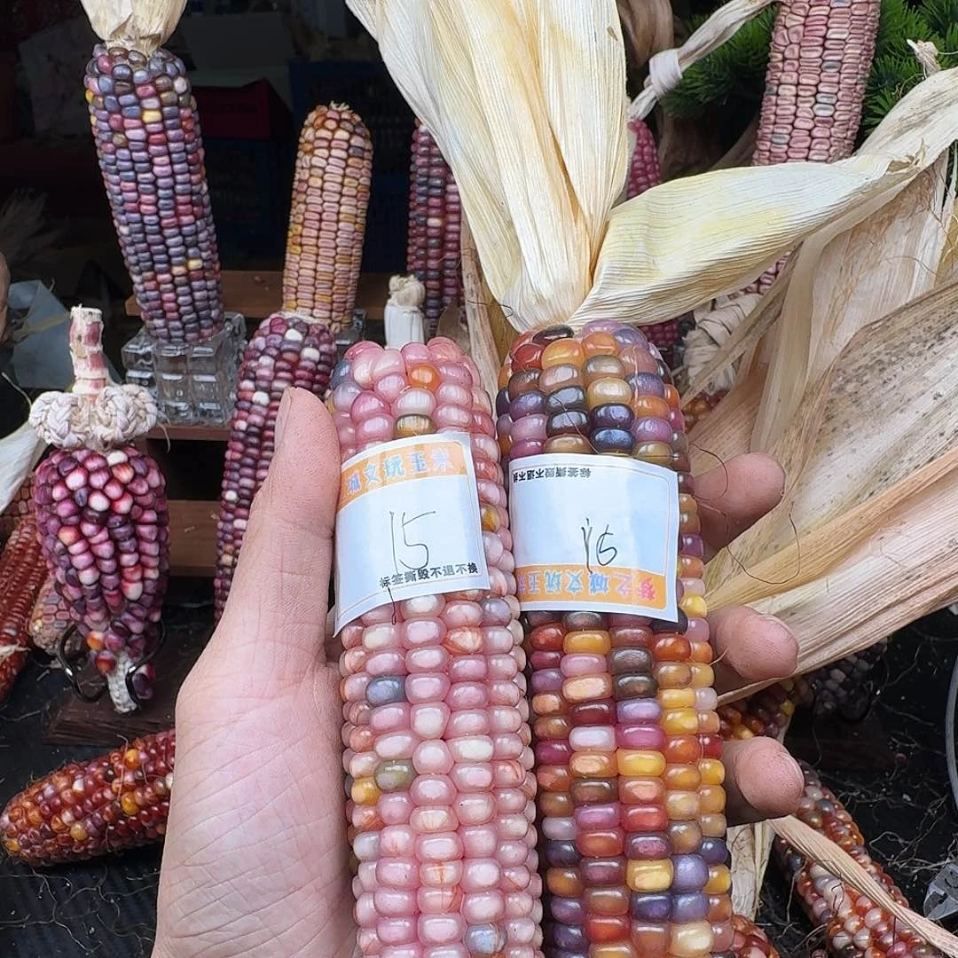 会***妞吊坠柏香籽/百香籽