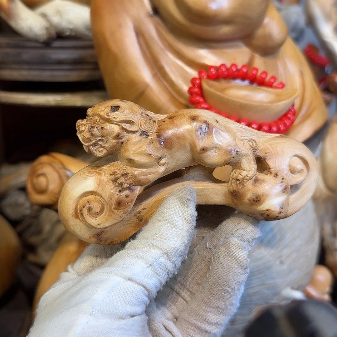 柏木（崖柏）66666666