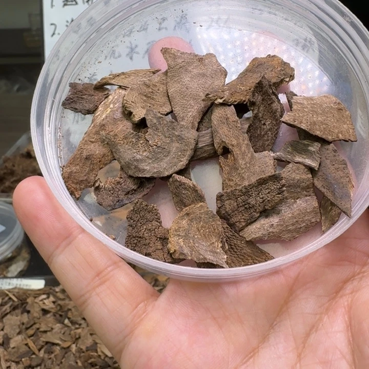 海南包头碎料5.2克