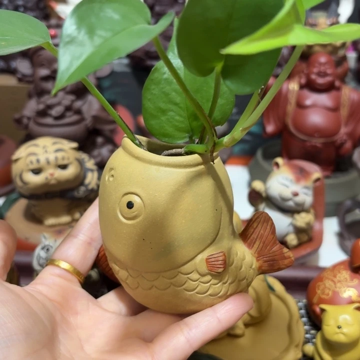 夏***r紫砂茶宠哈哈哈哈哈哈哈哈哈