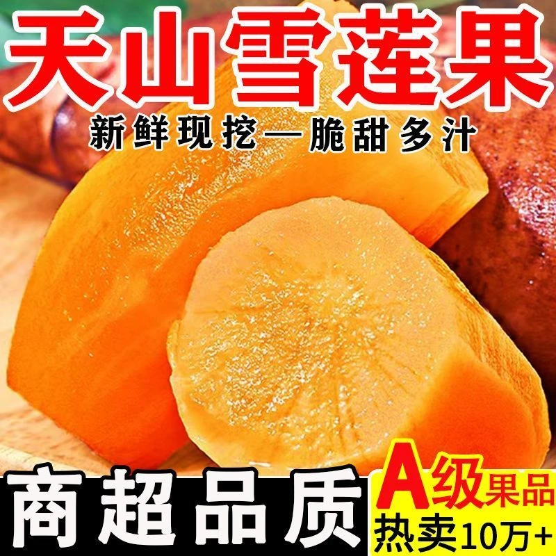 云南高原红泥雪莲雪莲果云南省