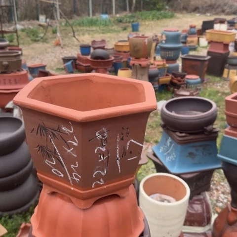 紫砂花盆紫砂花盆盆景盆栽