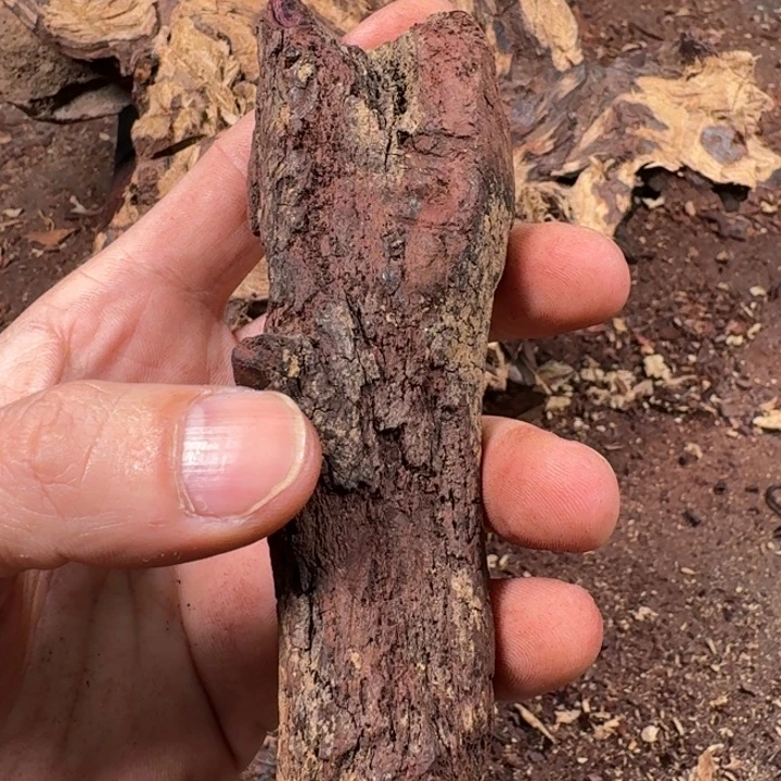 凯***奇黄花梨/降香黄檀定制1.0手串，切料定制，不退不换