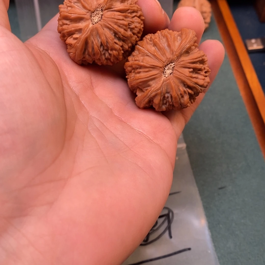 ༺***༻文玩核桃吊坠新品种