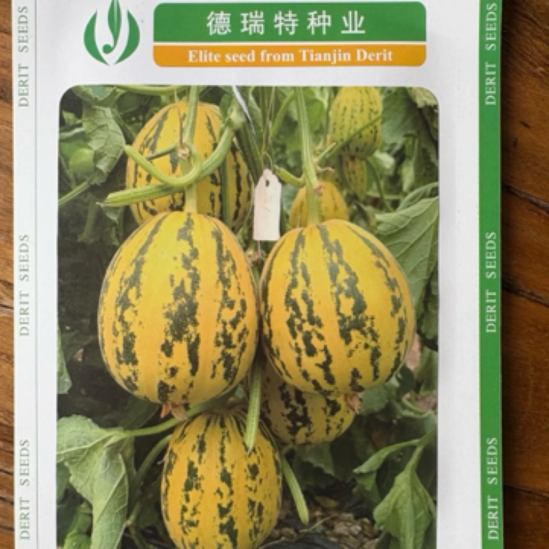 花美人类型，绿肉黄瓤，坐果能力强，适应性广