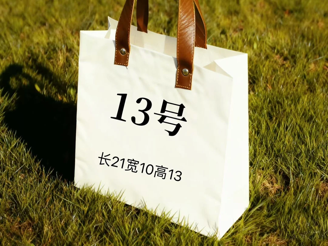 【13号】2025经典百搭新款单肩小包