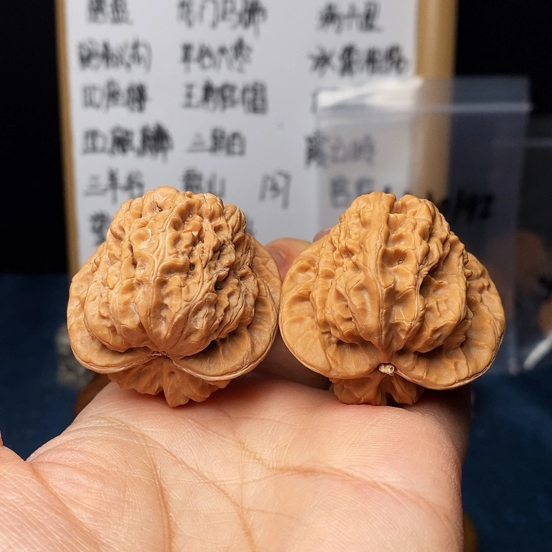 手串文玩核桃龟甲大蟾王