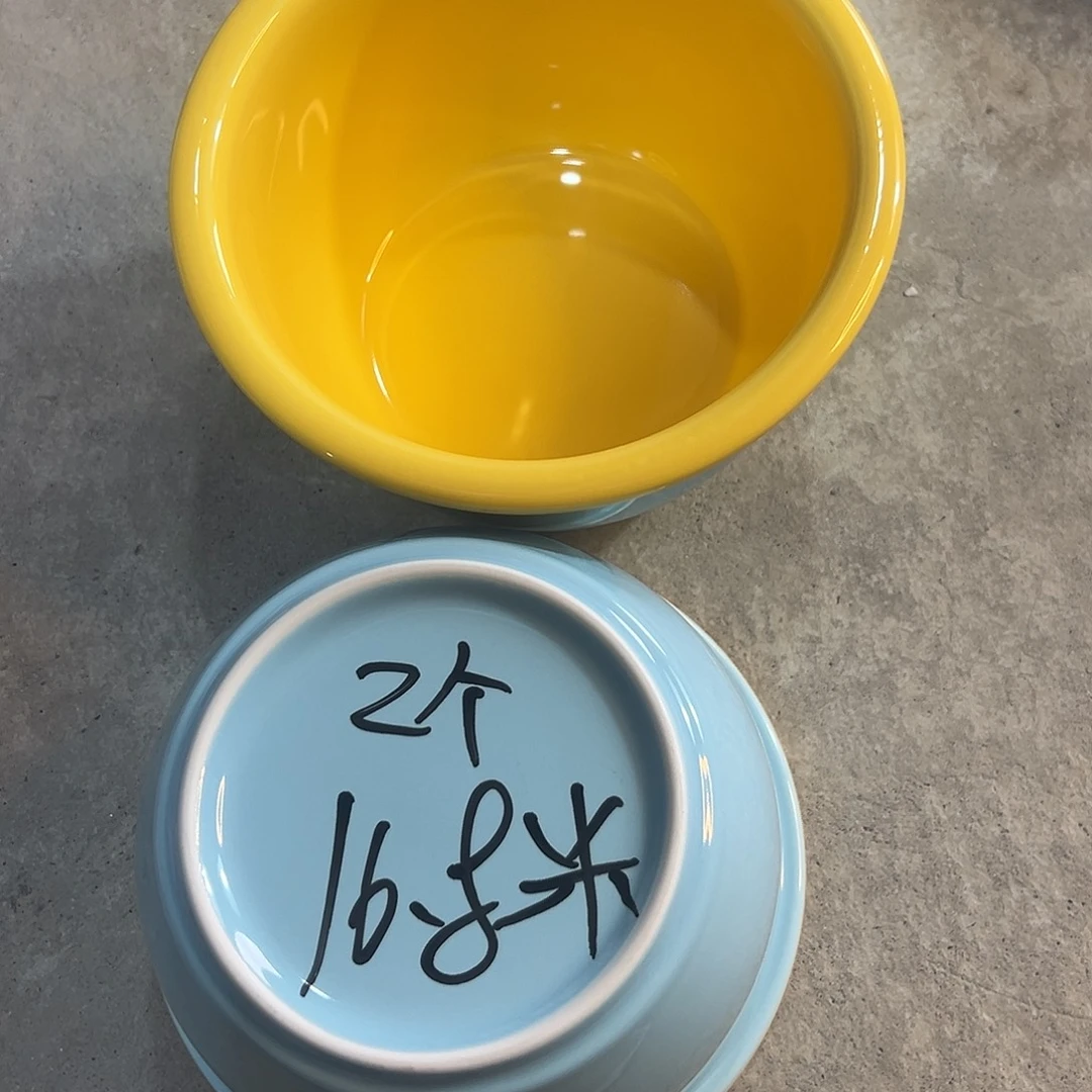 米其林6寸蓝色碗2个装