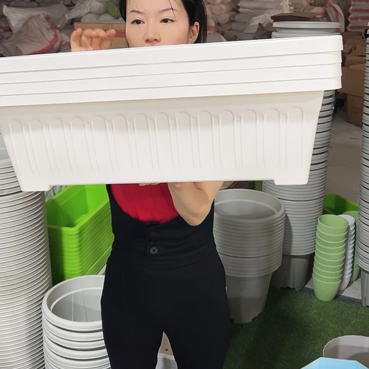 微瑕竖纹菜盆长55宽25高17白色4个