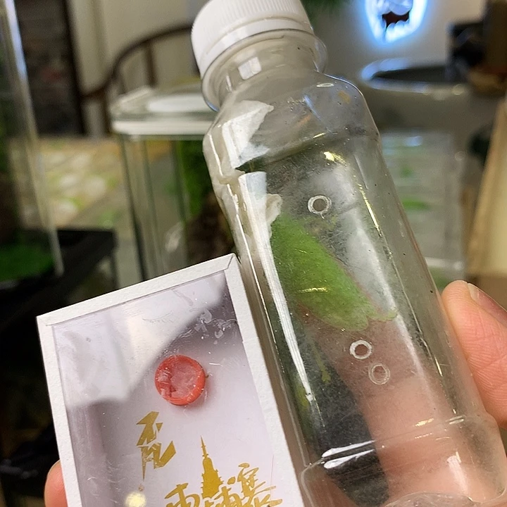 哈哈哈哈哈哈哈哈哈哈哈