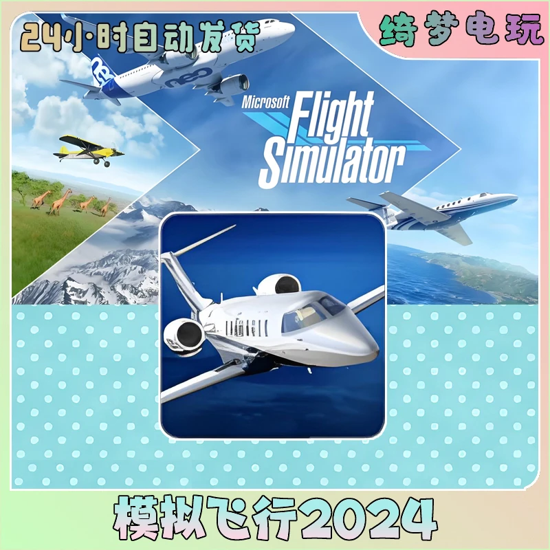 模拟飞行2024Aerofly FS全飞机全景手机游戏安装服务