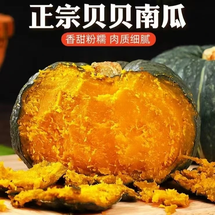 巫山新鲜应季贝贝南瓜粉糯香甜板栗味宝宝辅食迷你小南瓜2-8斤