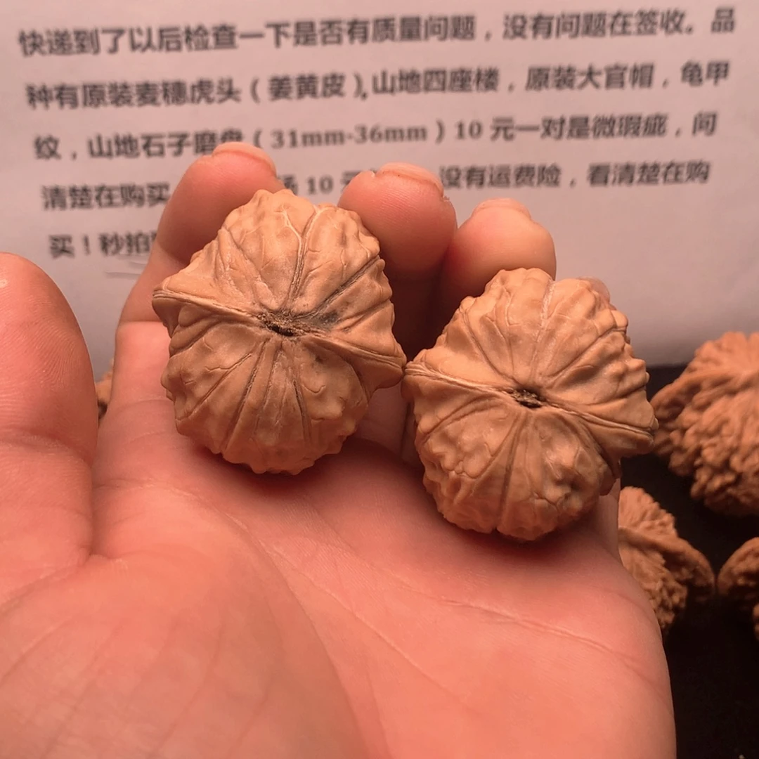 用***5把件文玩核桃龟甲纹36mm