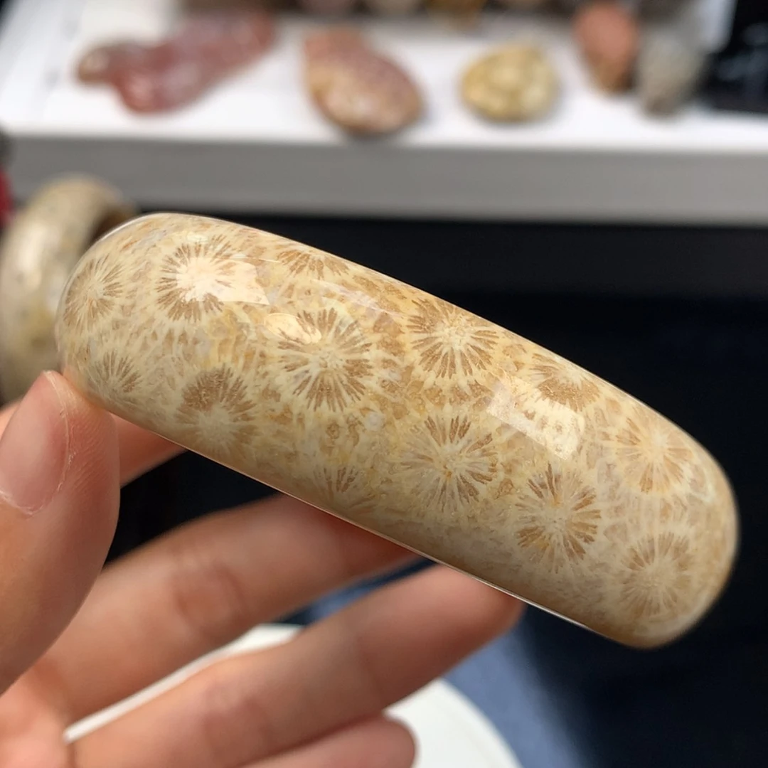 【闪购商品】硅化珊瑚（珊瑚玉）手镯未镶嵌手镯上新56.5（13号）