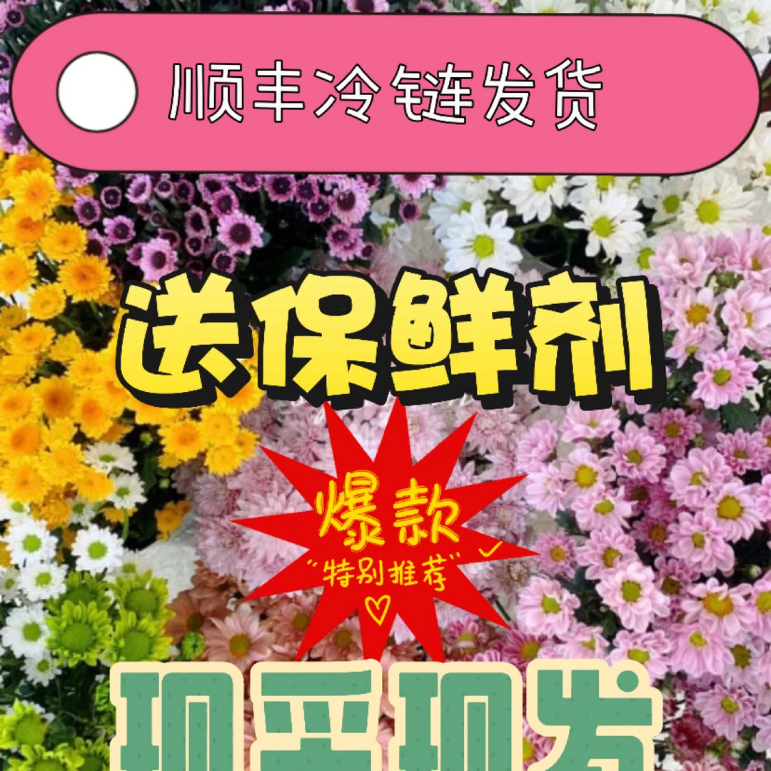 统拍小菊任意两单包邮！0℃一下拍保温棉！受冻不售后！
