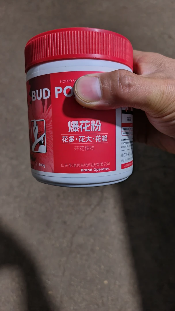 催花孕蕾，绿植通用