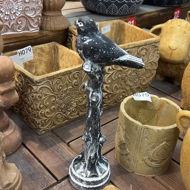 高31，556855856855