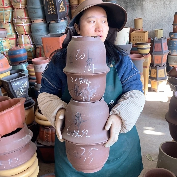 紫砂花盆盆栽花卉苗木种植