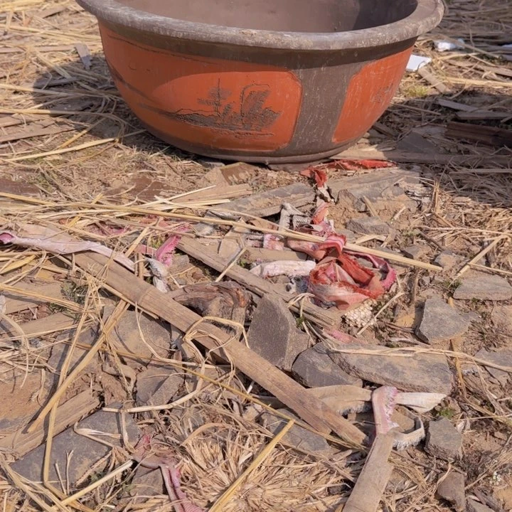 红陶口径60高24…………………………