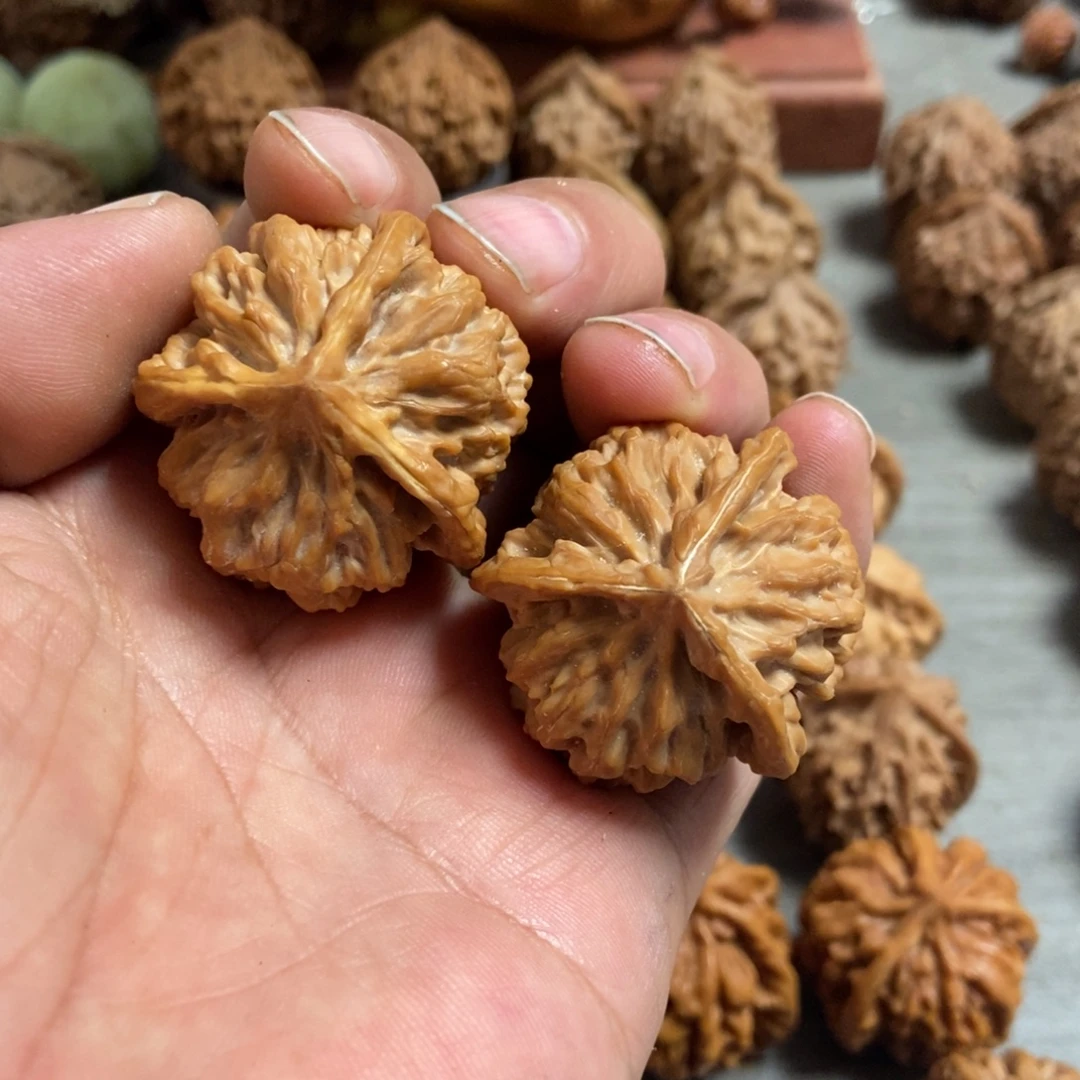 文玩核桃吊坠帝王三棱37尺有修