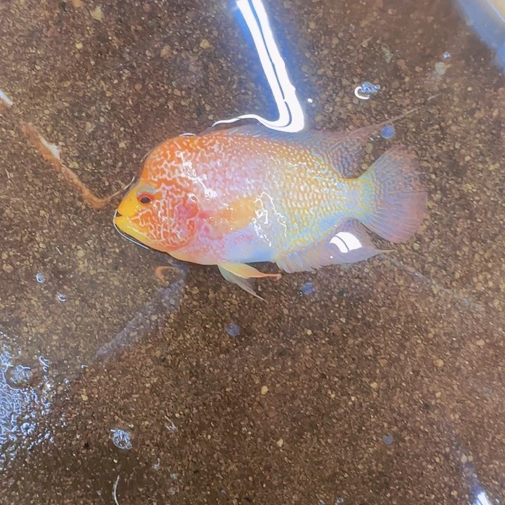 海水啊啊啊啊啊啊啊啊