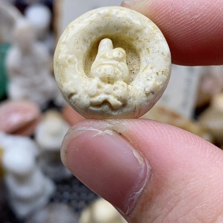 硅化珊瑚（珊瑚玉）未镶嵌颈饰小