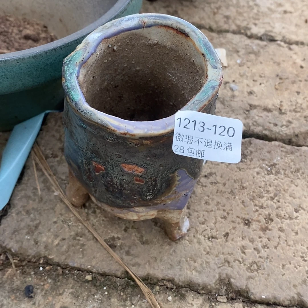 120号多肉盆口径6小可爱