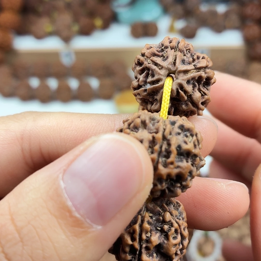 金刚菩提手串精品6瓣蜂窝