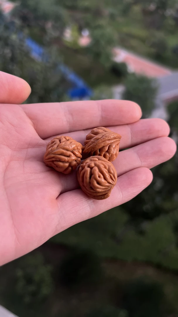野生桃核肌肉纹手串手持脖挂