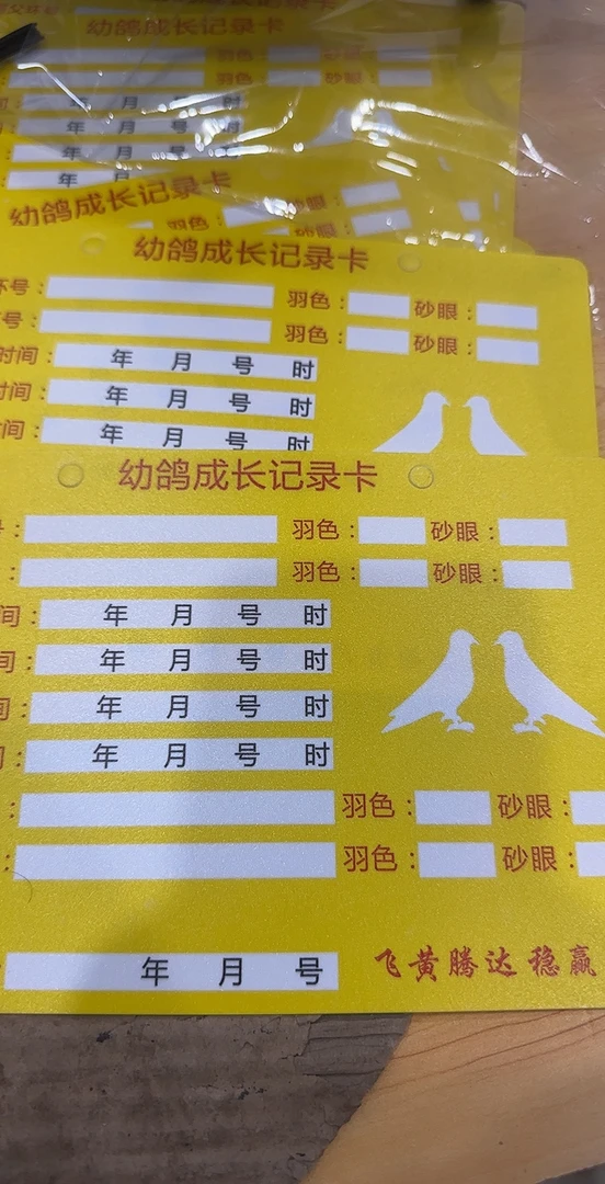 可擦洗幼鸽成长记录卡（10张）