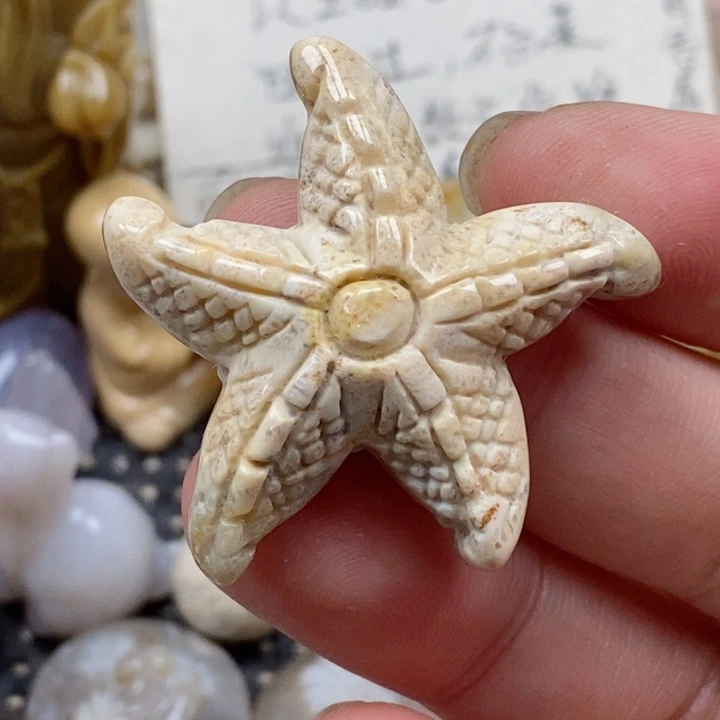 颈饰未镶嵌硅化珊瑚（珊瑚玉）竹***声
