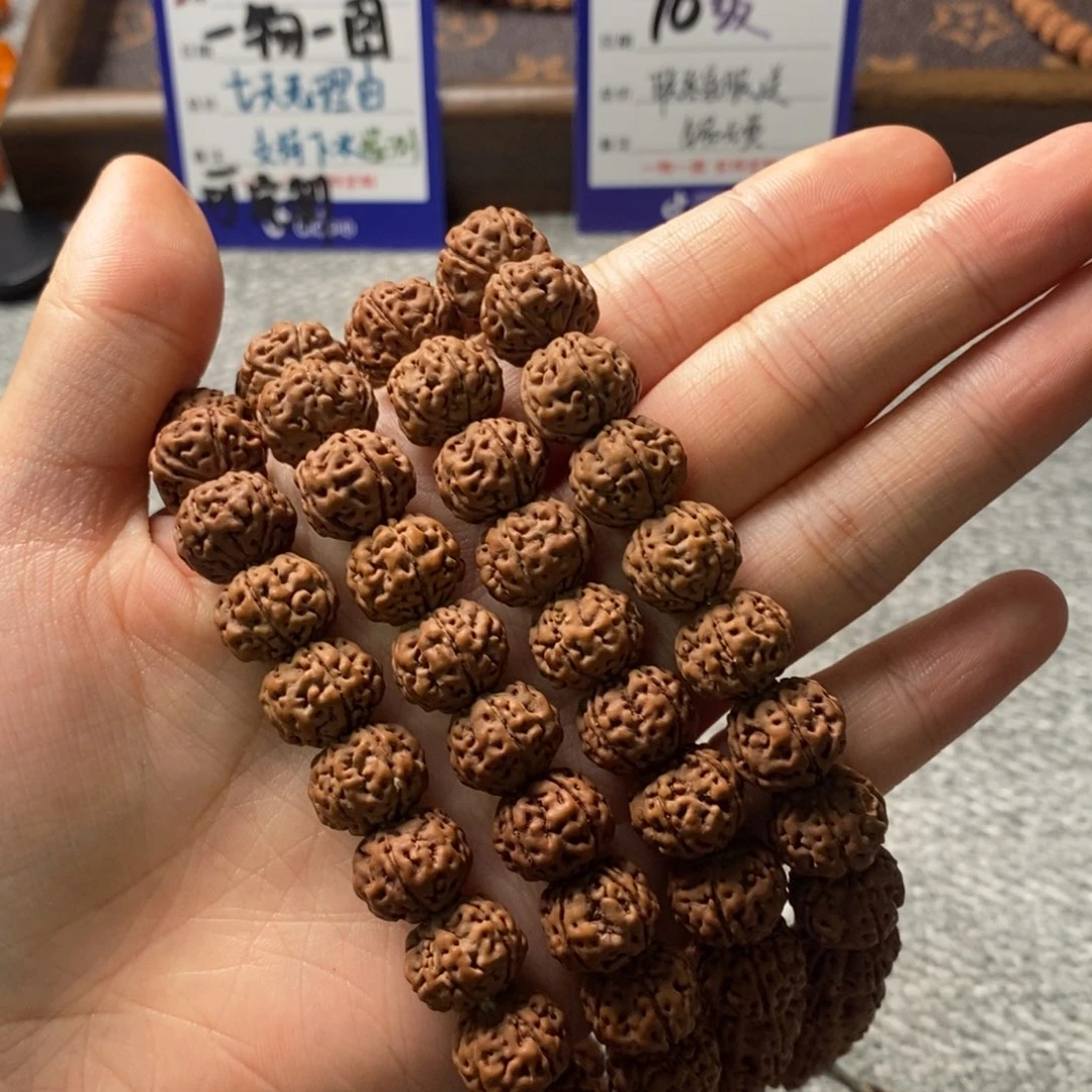 手串金刚菩提老树王有黄