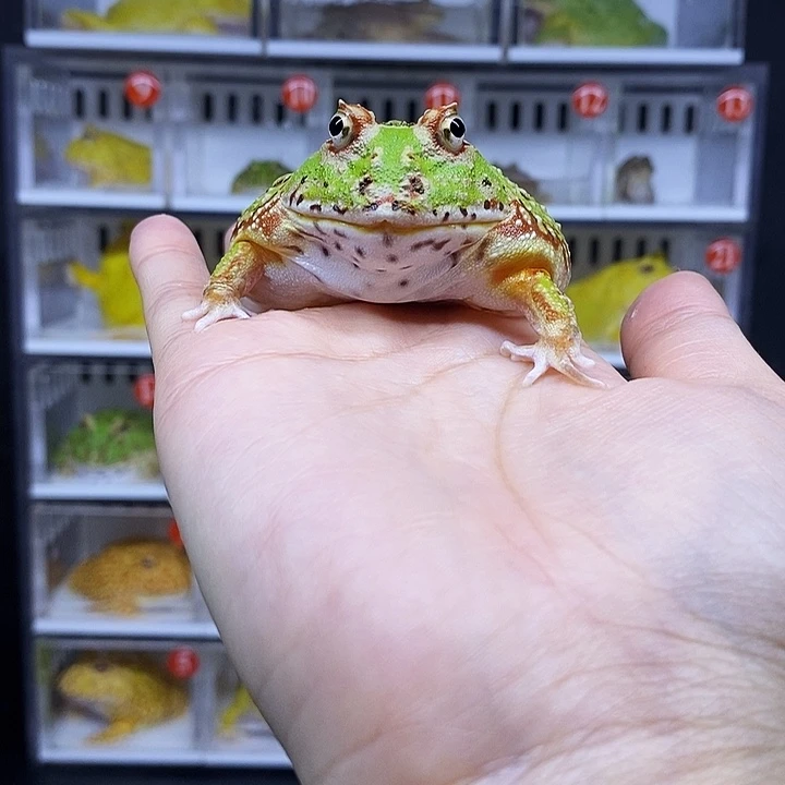 特价秒杀活动地址