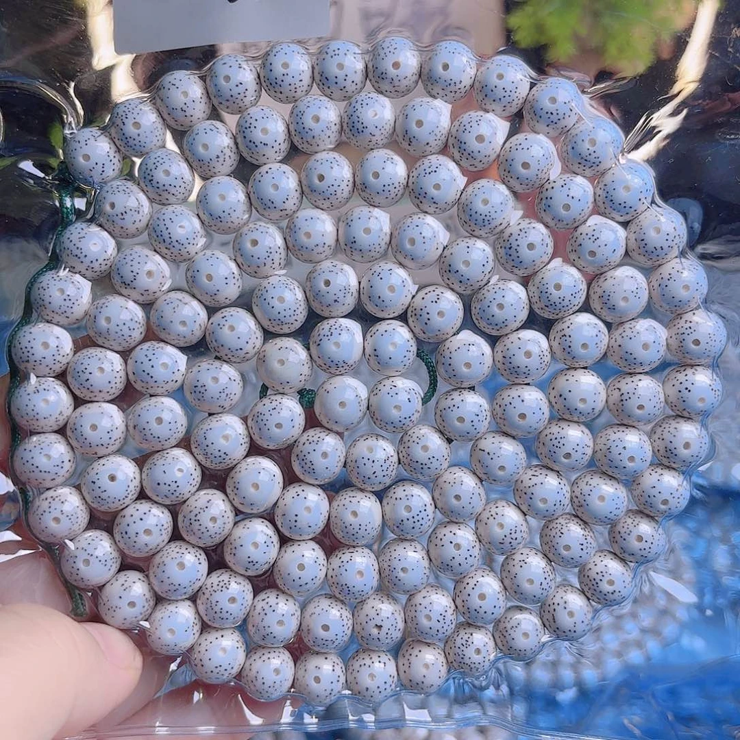 西***就吊坠菩提根/象牙果