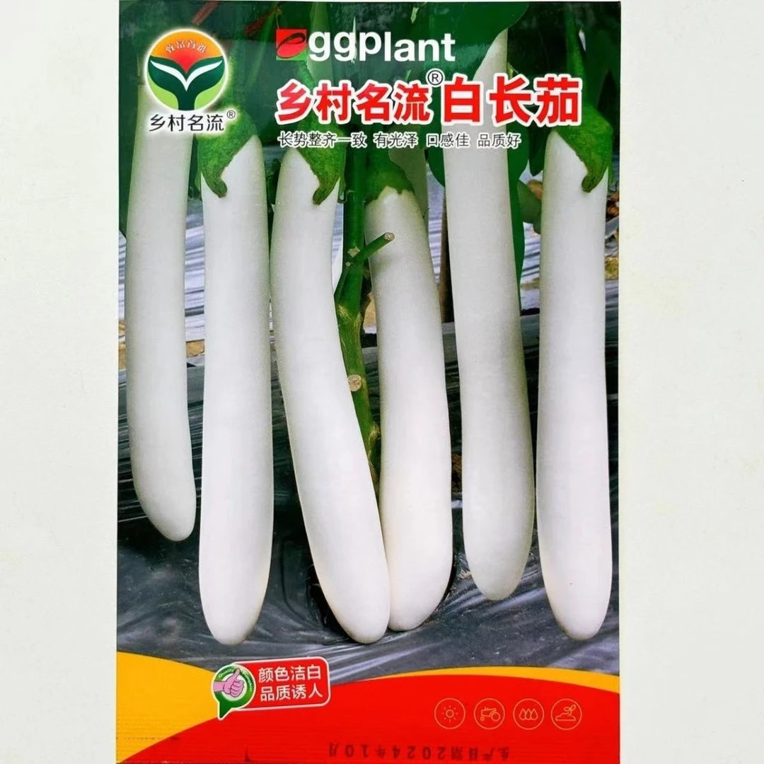 白长茄籽蔬菜种子茄子种子乡村名流白长茄