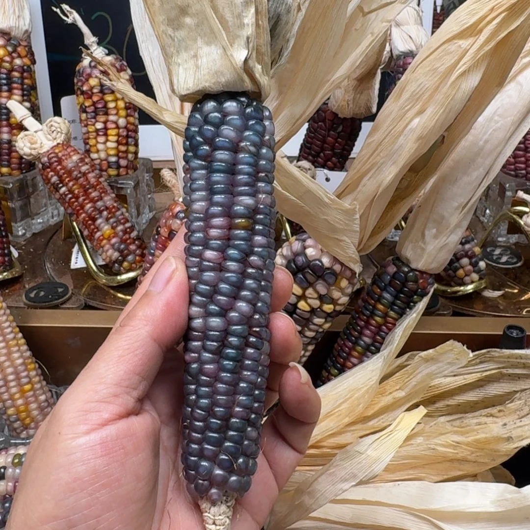 柏香籽/百香籽吊坠佩**姐