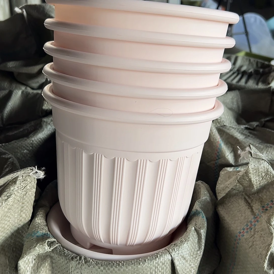 树脂罗马210粉5个带托托