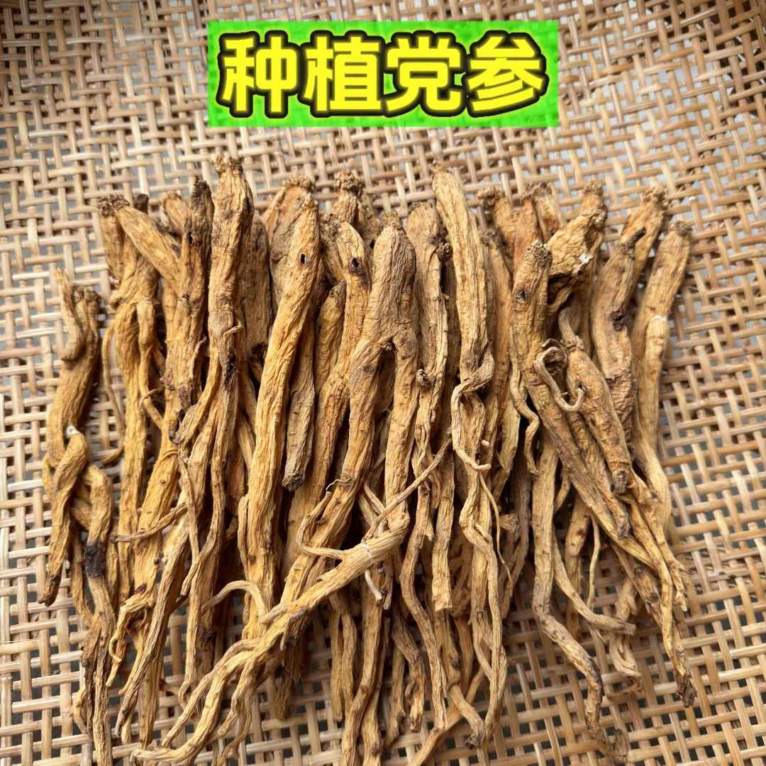 【种植党参】甘肃当季新货 农家肥种植无硫精选搭配黄芪枸杞泡水