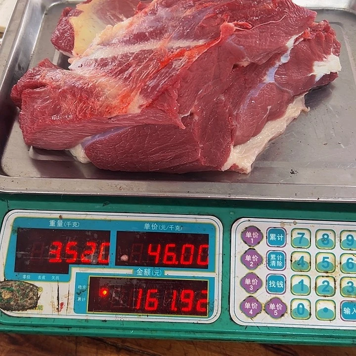 广西土耕马马肉、沙姜炒马肉中国大陆
