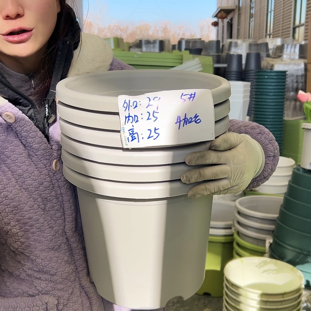 四季盆5#灰白6个无托