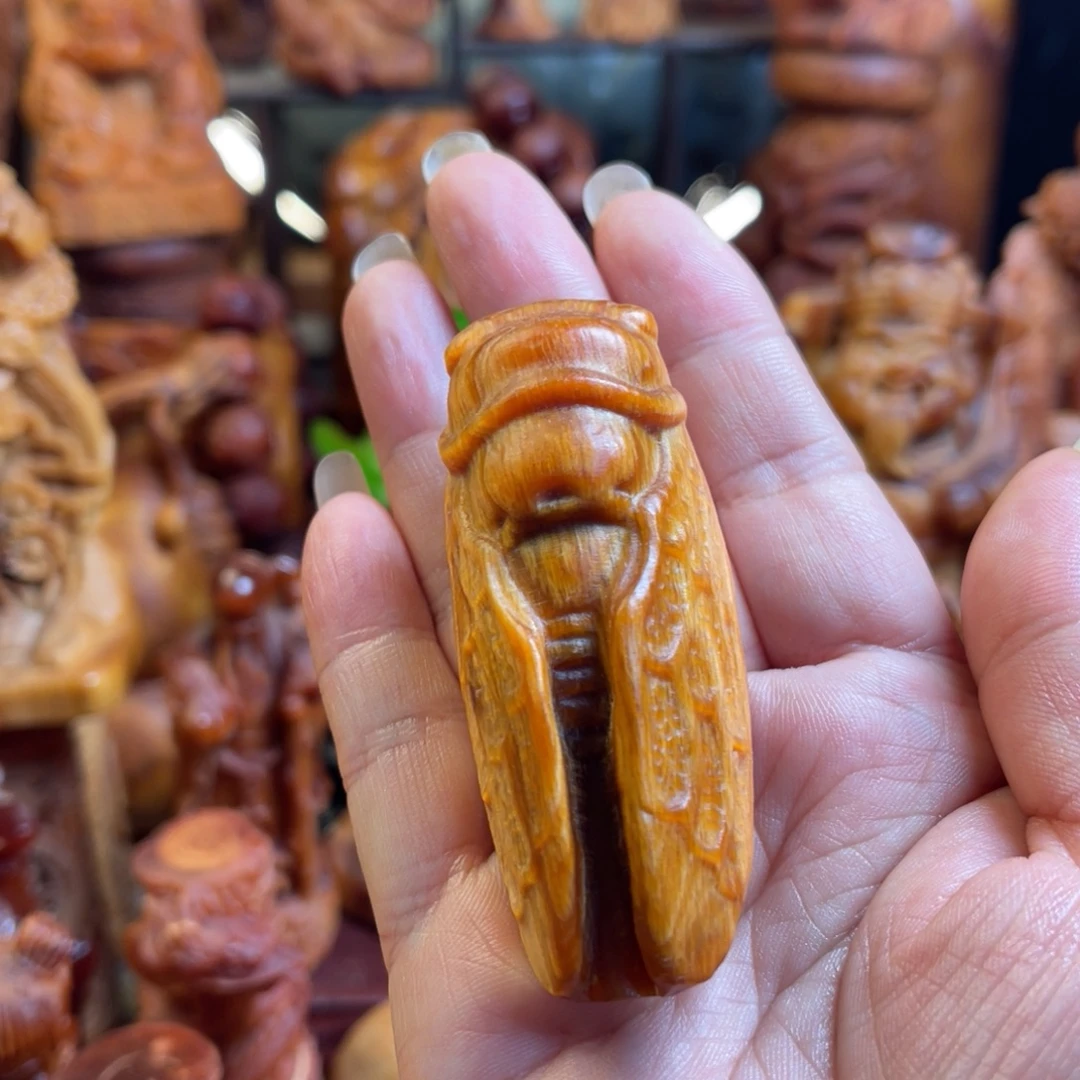 松木（琥珀木）其他知了