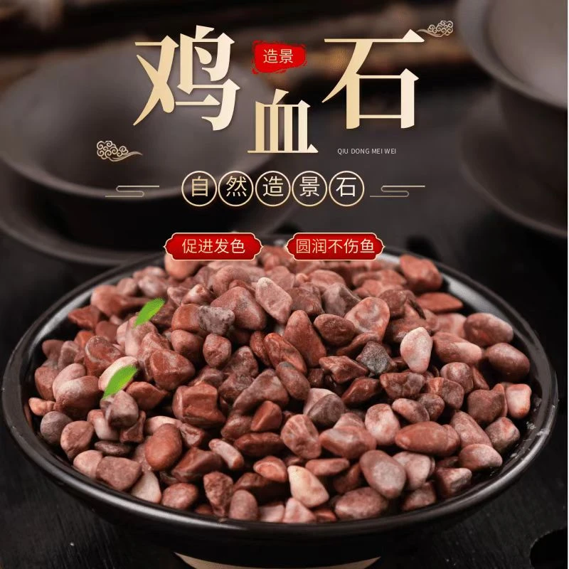 鸡血砂天然鸡血石鱼缸水族箱造景鹦鹉罗汉鱼诱色底砂乌龟缸底沙子