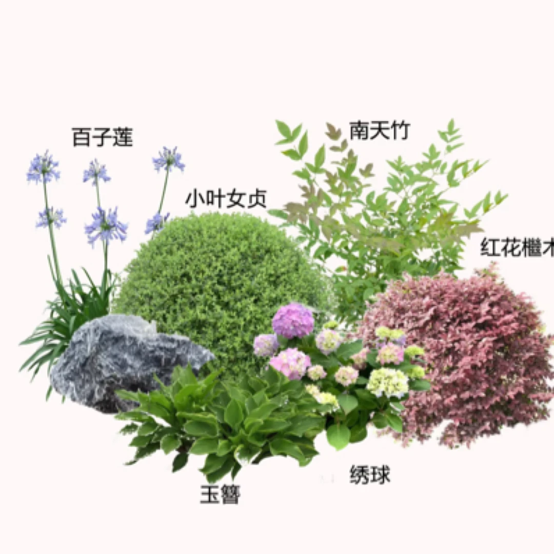 小花镜现场搭配花园花箱
