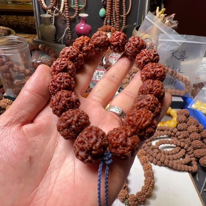 手串金刚菩提23大粗筋双龙