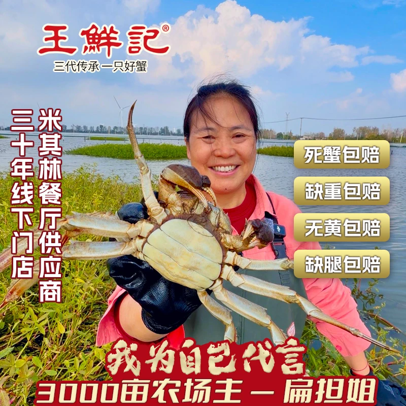 【活蟹礼盒】纯母蟹2.5~2.8两到手12只扁担姐大闸蟹