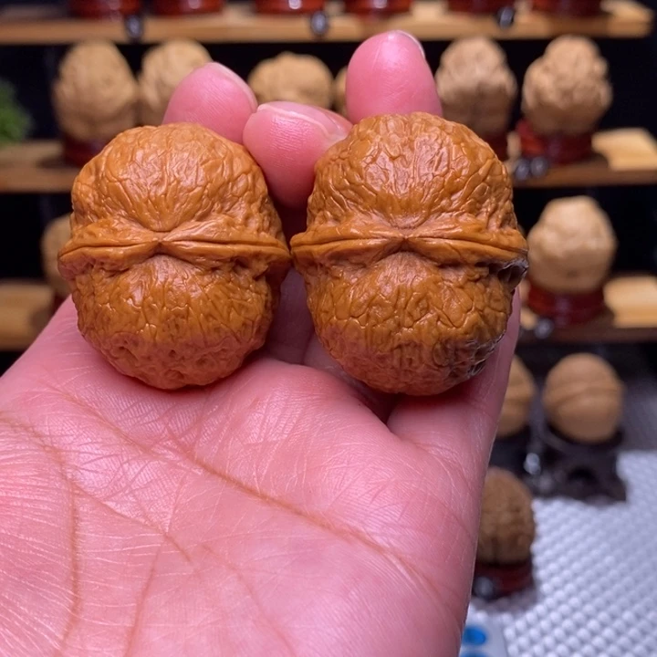 木质类云铁保山化石63号