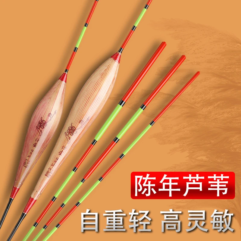 芦苇浮漂高端带壳芦苇加粗超醒目鱼漂高灵敏轻口鲫鱼漂抗风浪钓鱼