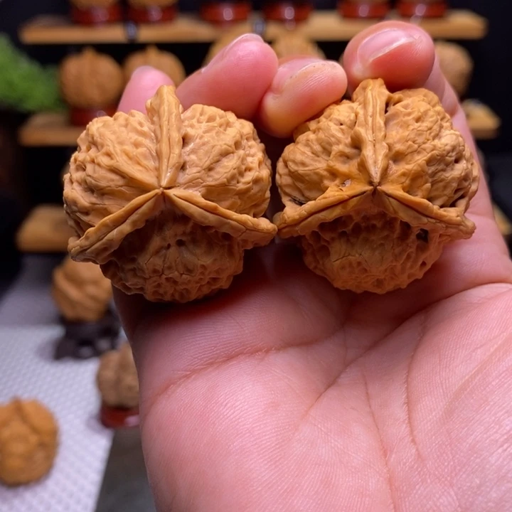 彭***老核桃云铁紫蛹三棱1号