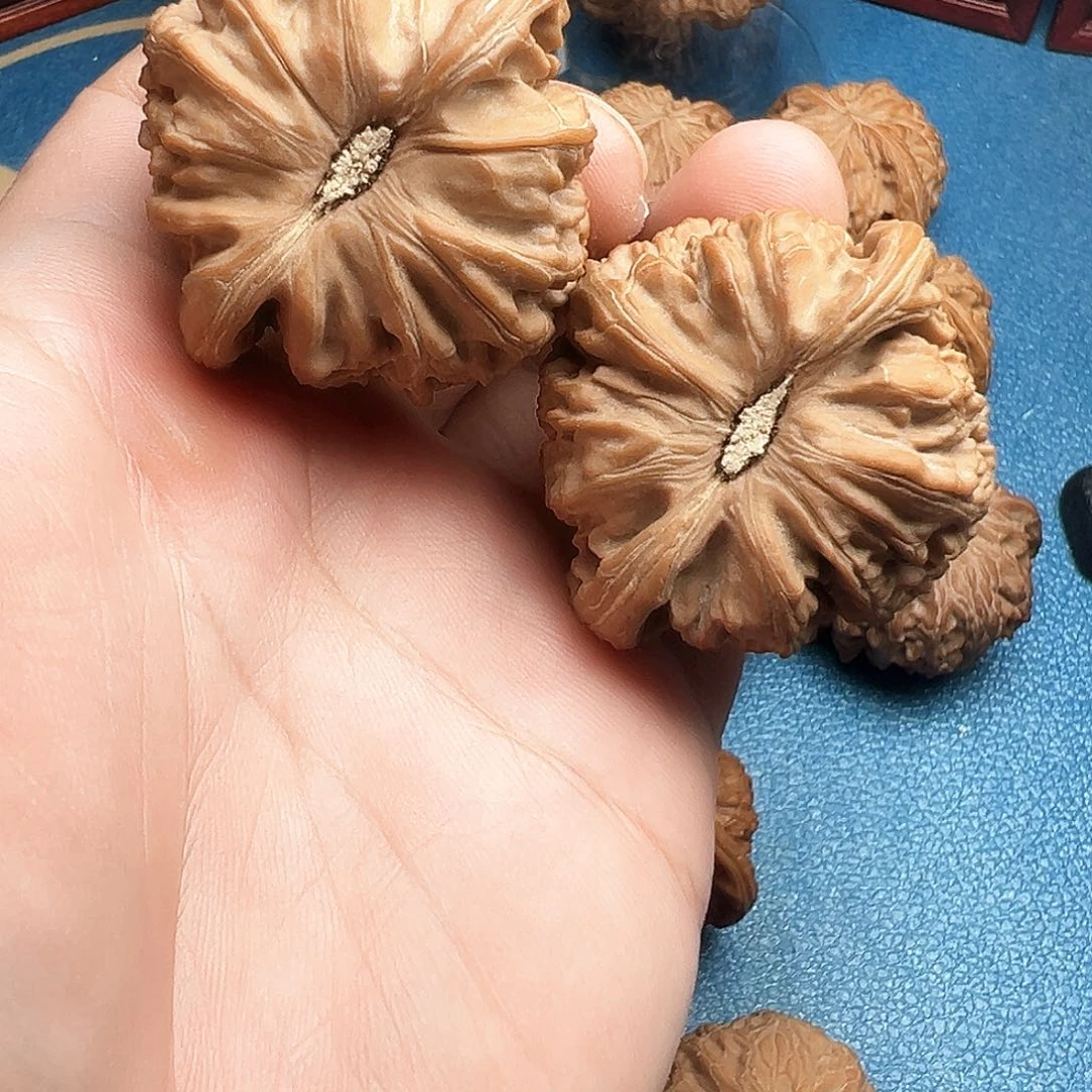 西***儿吊坠文玩核桃44白狮子